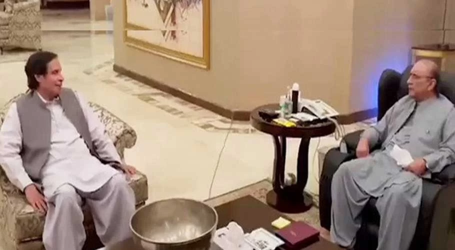 Pervaiz Elahi, Zardari discuss incumbent govt and political situation